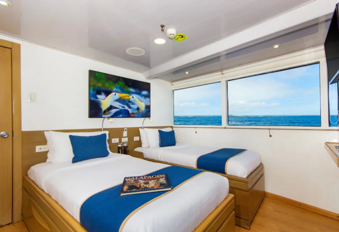 Cabin Calipso Cruise