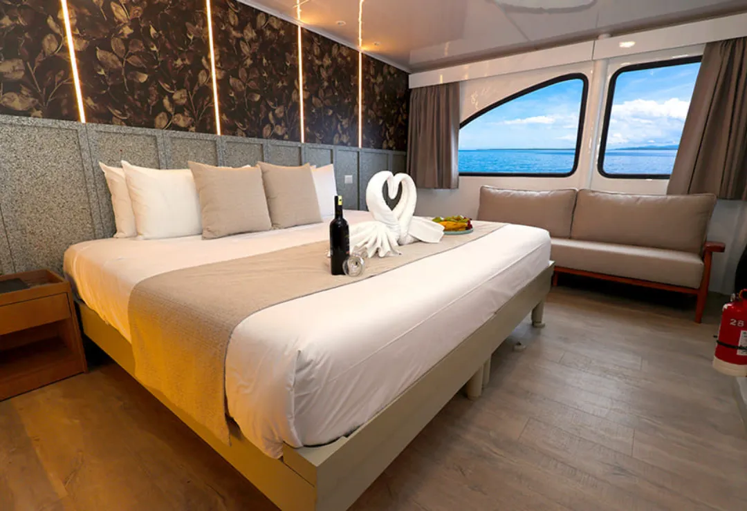 Cabin EcoGalaxy Cruise