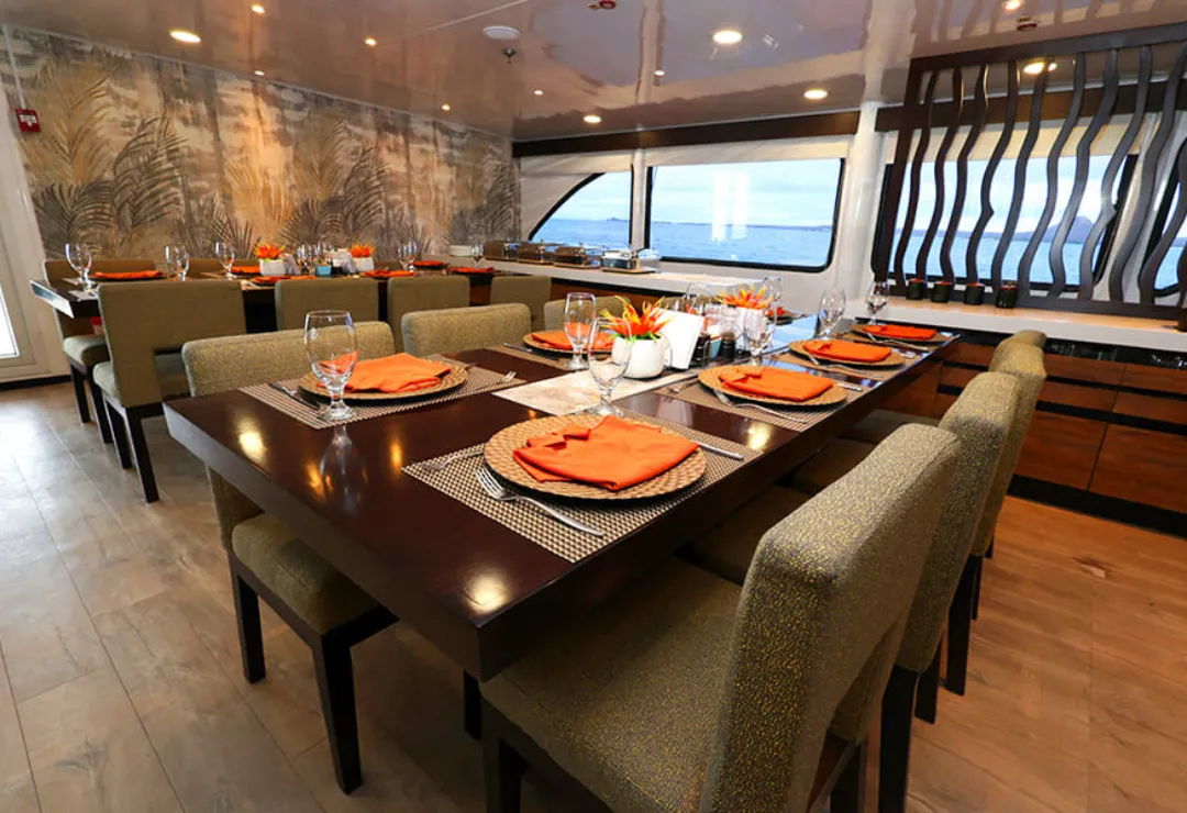 Dining EcoGalaxy Cruise