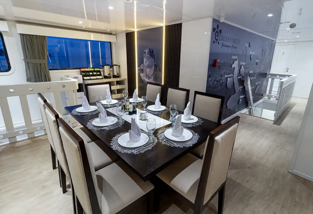 Dining Galaxy Cruise