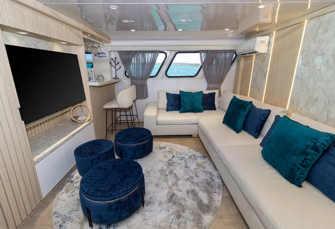 Living Galaxy Orion Cruise