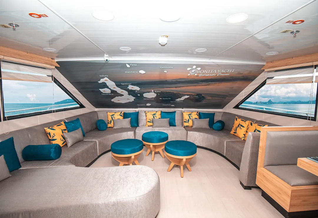 Lounge Bonita Cruise