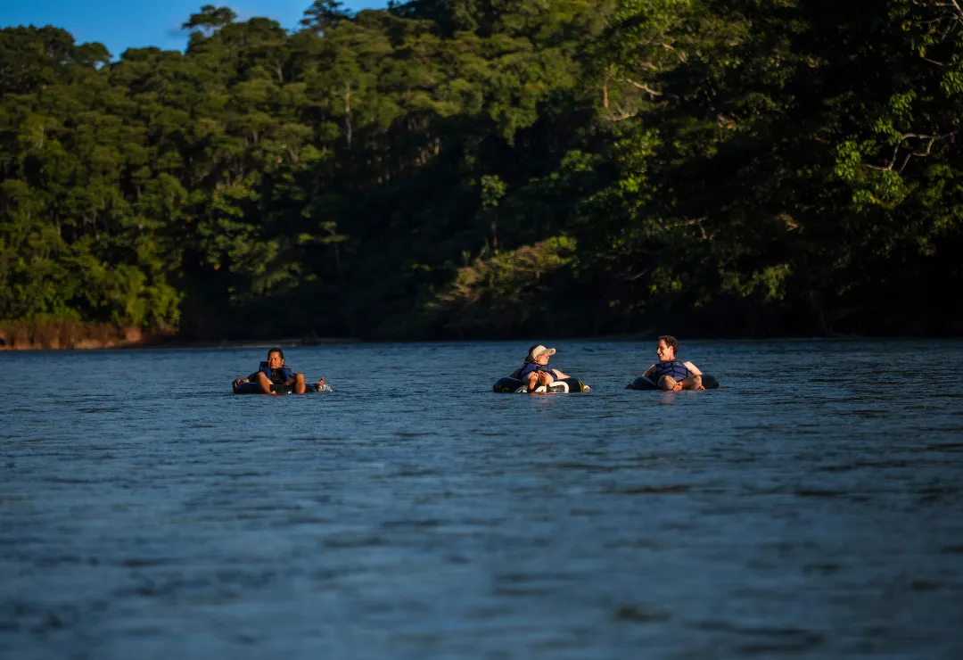River Junco Itamandi Lodge
