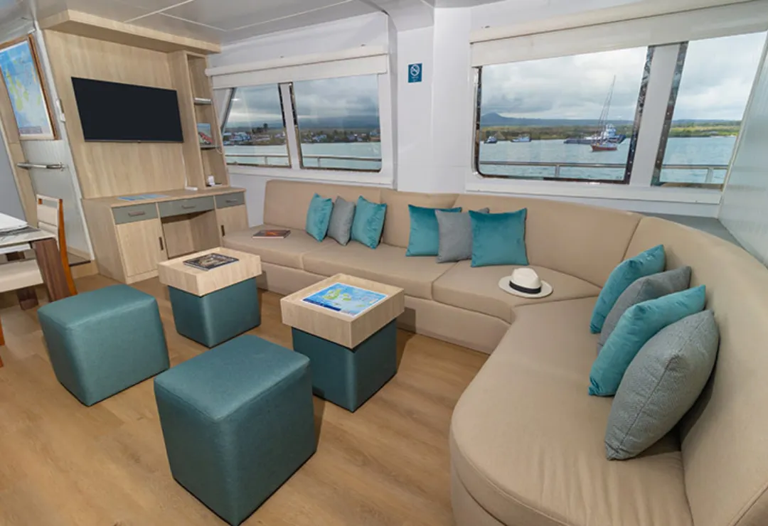 Social Area Angel Cruise