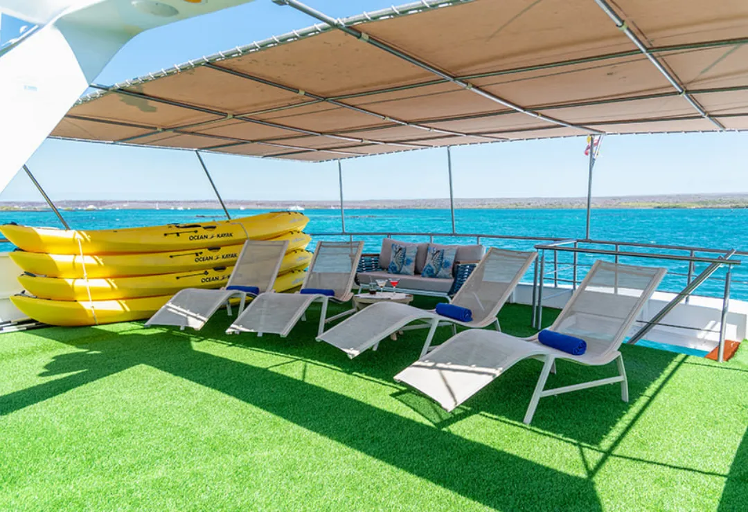 SunDeck Bonita Cruise