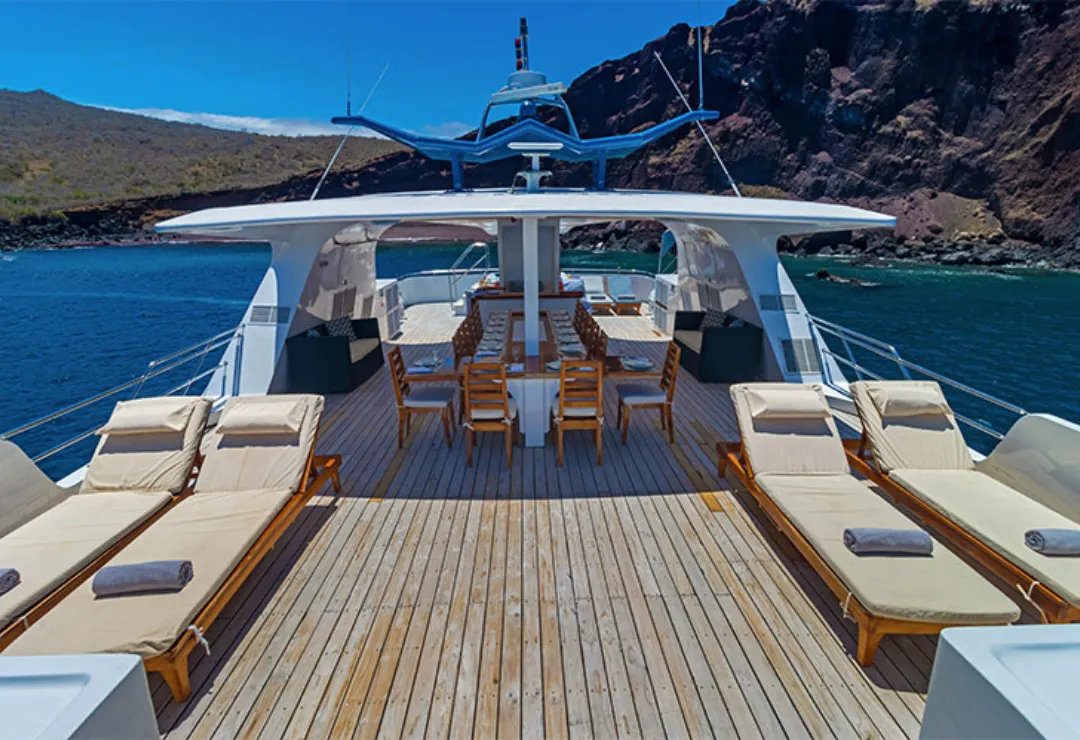 SunDeck Natural Paradise