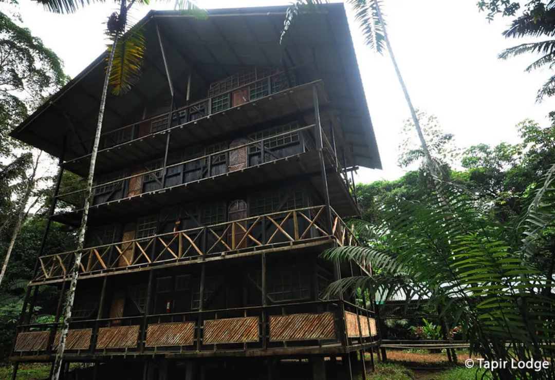 Tapir Lodge