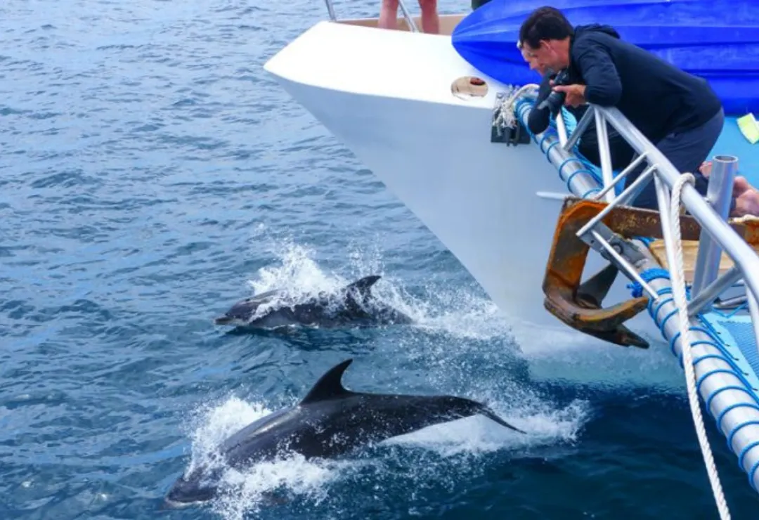 Turist Archipel Cruise