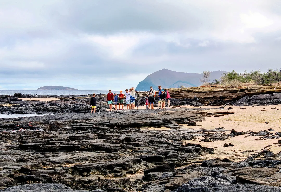 Turist Fragata Cruise