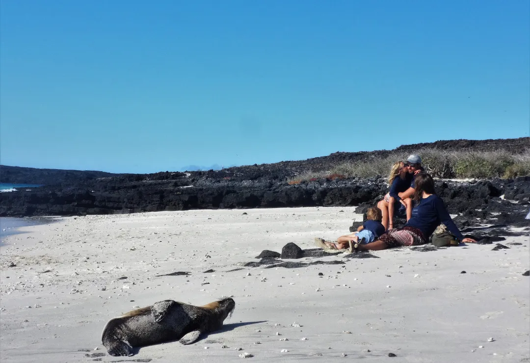 Turist Golondrina Cruise